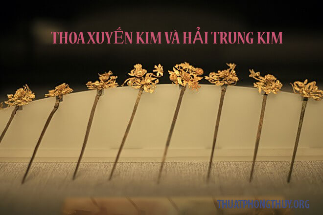 thoa xuyến kim và hải trung kim